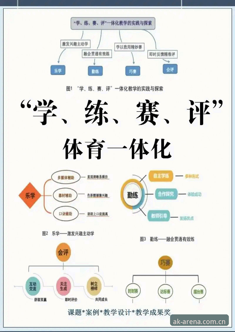 AK体育稳定体验 vs 波动平台：专业竞技服务的选择差异与深度解析